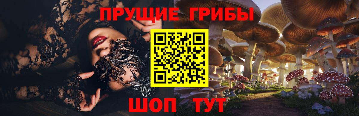 Галлюциногенные грибы Cubensis Саяногорск